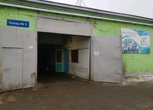 +73412210946 звонок из Овощная рапсодия