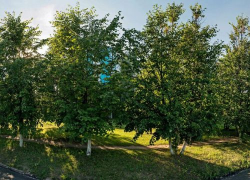 +73412245447 звонок из Русская электротехническая компания