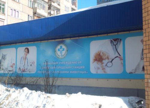 +73412366377 звонок из Устиновская ветеринарная лечебница