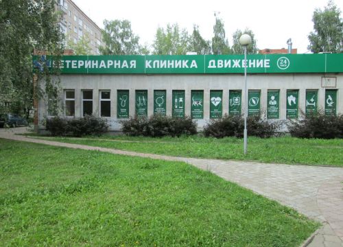 +73412570576 звонок из Движение