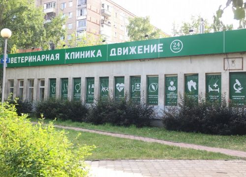 +73412570576 звонок из Движение