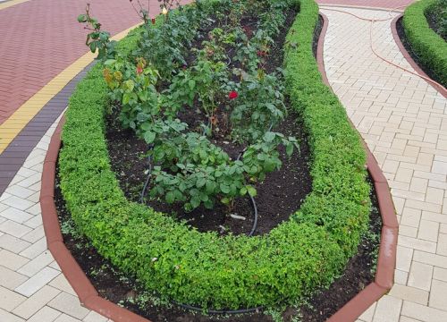 +73412570741 звонок из Зеленстрой