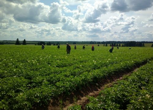 +73412622351 звонок из РусЕвроплант