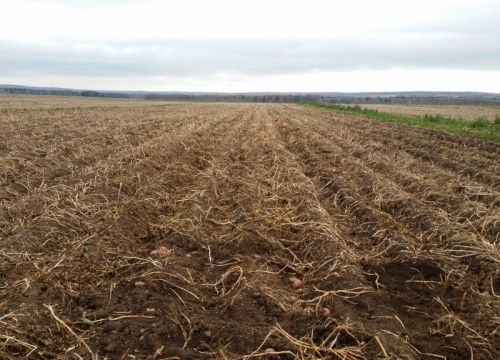 +73412622351 звонок из РусЕвроплант