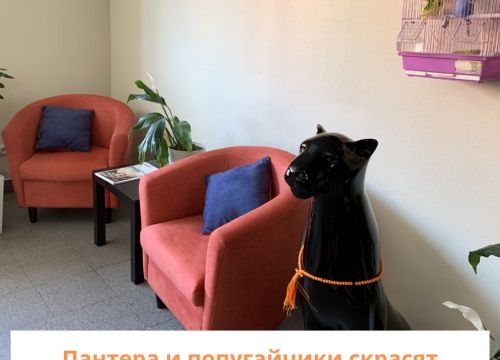 +73412911119 звонок из Штиль