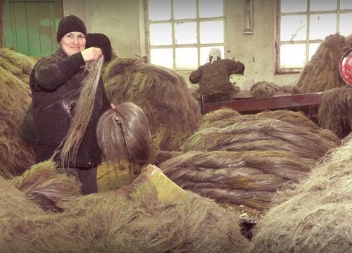 +73413632369 звонок из Шарканский льнозавод