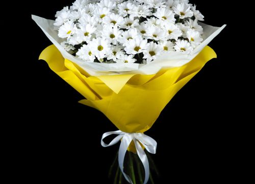 +73414171272 звонок из Цвет'ок