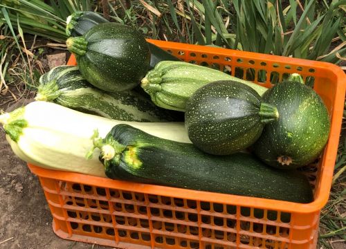 +73512420087 звонок из Уральский Дачник