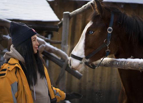 +73513289528 звонок из Солнечная долина