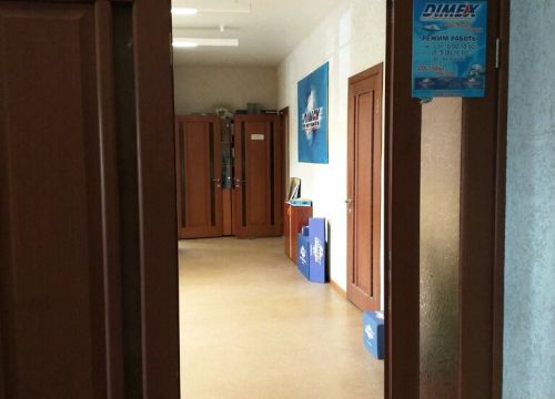 +73822601911 звонок из Даймэкс