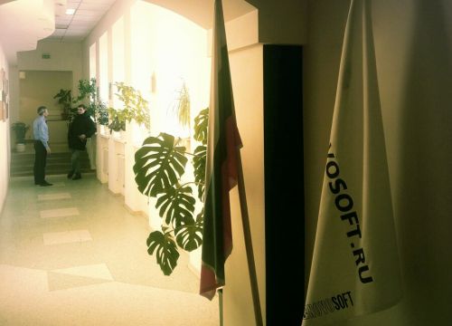 +73833630090 звонок из Новософт развитие