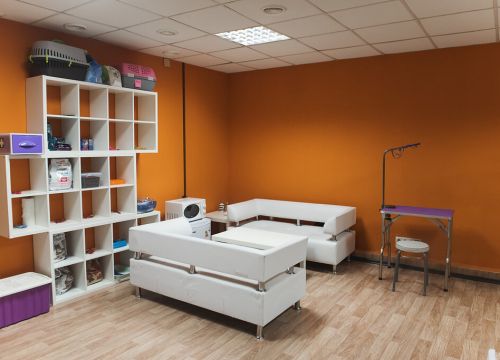 +73952480267 звонок из Bookingcat