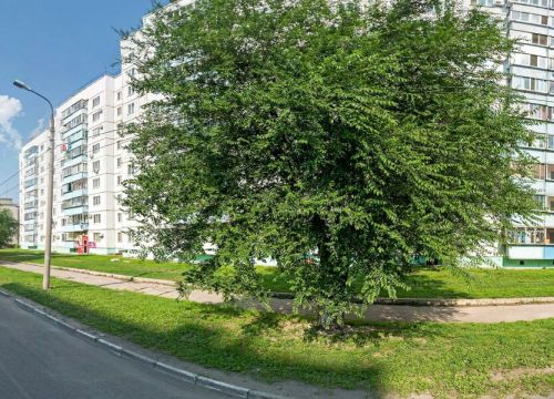 +74162532063 звонок из Территориальный орган Росздравнадзора по Амурской области