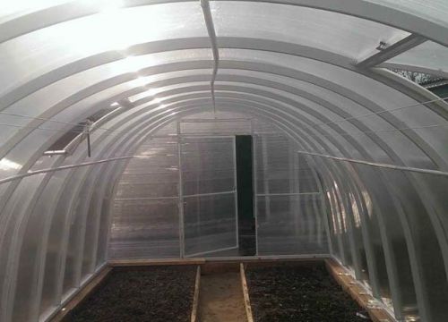 +74212516494 звонок из Тепличный магазин