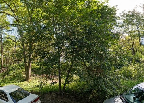 +74232600510 звонок из Первый опто мед