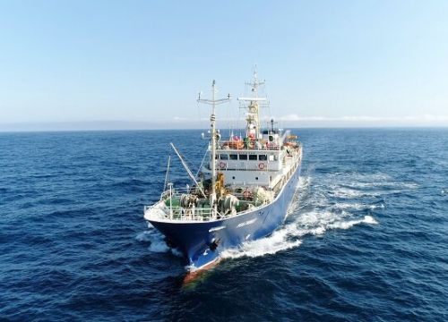 +74232643737 звонок из Русский Краб