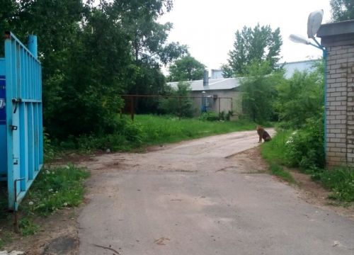 +74732233305 звонок из Стомэл К