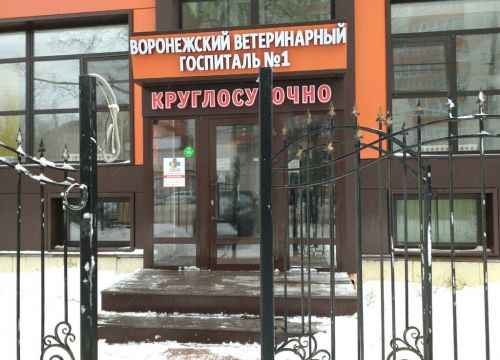 +74732692888 звонок из Воронежский ветеринарный госпиталь № 1