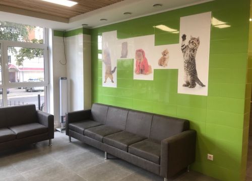 +74732692888 звонок из Воронежский ветеринарный госпиталь № 1