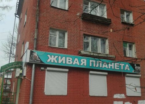 +74822755613 звонок из Живая планета
