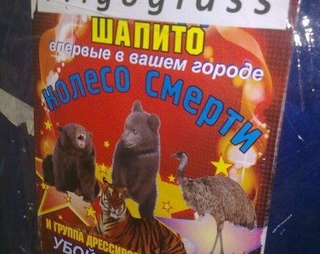 +74862200100 звонок из Фригогласс Евразия