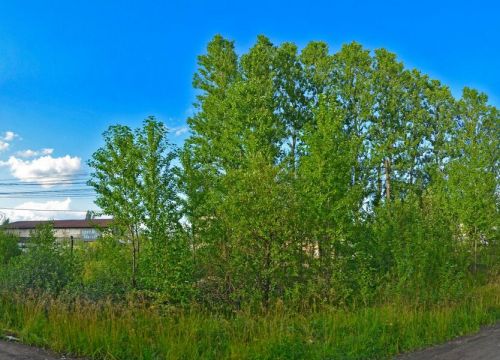 +74942493400 звонок из Костромской завод строительных материалов