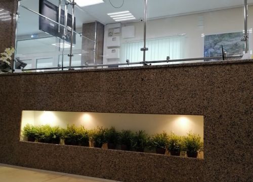 +74942494131 звонок из Центр Амбулаторной Хирургии