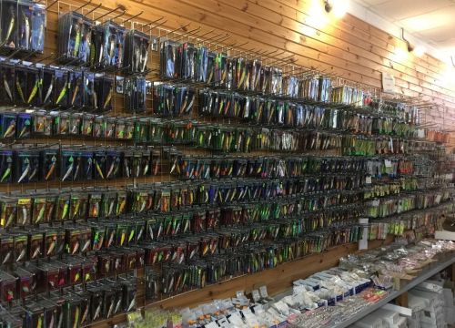 +74942494258 звонок из Рифиш