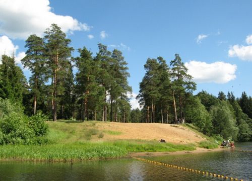 +74942494447 звонок из Сосновый бор