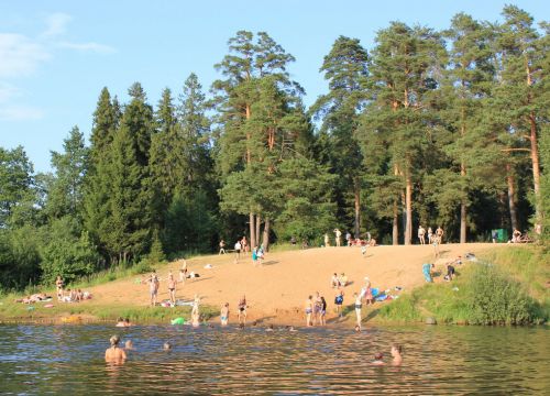 +74942494447 звонок из Сосновый бор