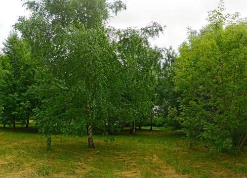 +74942535772 звонок из ОГБУЗ Косп Областная стоматологическая поликлиника