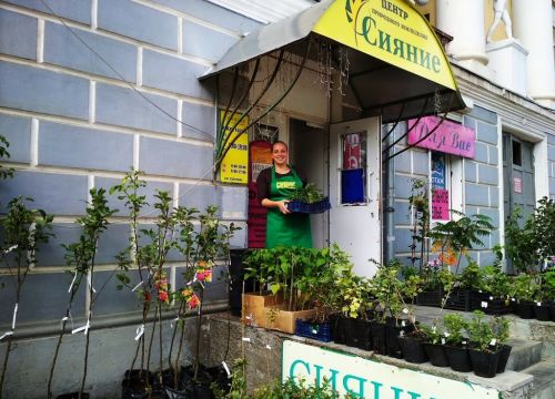 +74942641284 звонок из Сияние