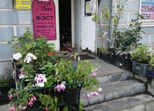 +74942641284 звонок из Сияние