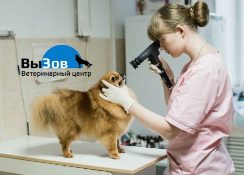 +74950032525 звонок из ВыЗов