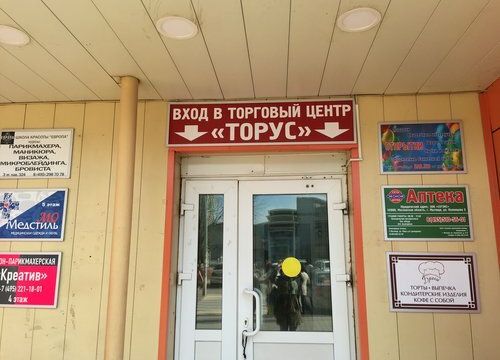 +74950032742 звонок из Чипы и тонеры