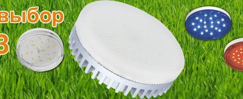 +74950062764 звонок из Lamp Ecola