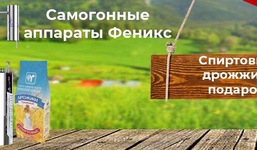 +74950250021 звонок из Дачник. Маркет