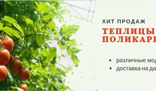 +74950250021 звонок из Дачник. Маркет