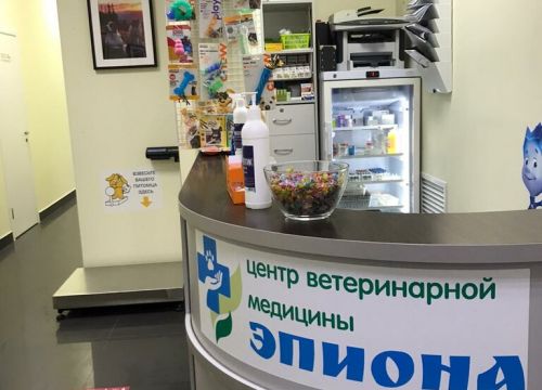 +74951010133 звонок из Эпиона