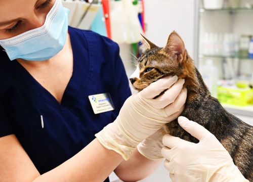 +74951010133 звонок из Эпиона