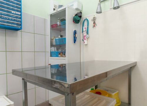 +74951013082 звонок из Ветеринарный центр Viki-ВЕТ