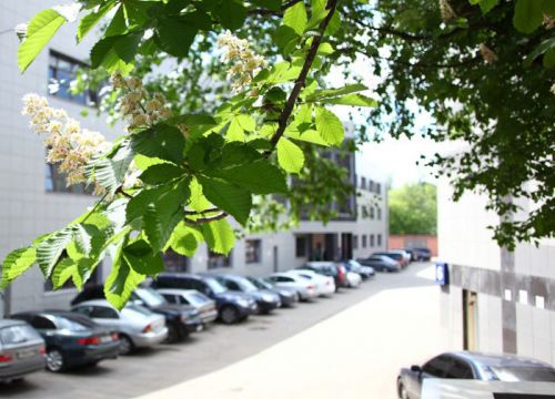 +74951090043 звонок из Medor