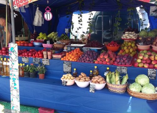 +74951250000 звонок из Ветерок