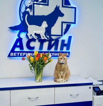 +74951500045 звонок из Астин