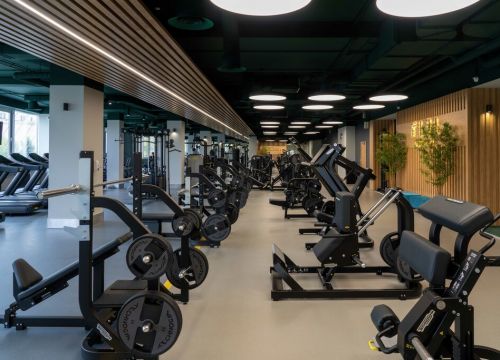 +74951500460 звонок из Fiji Sport Club