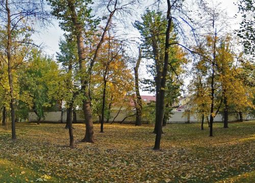 +74951810013 звонок из Центр Спрут