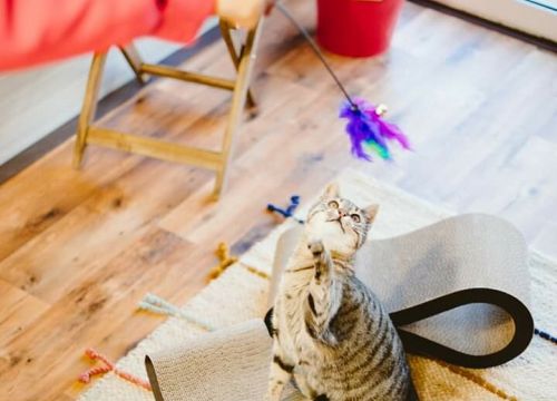 +74952340002 звонок из Husse