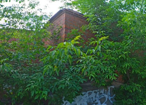 +74952950232 звонок из Kug-oo.ru