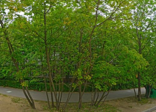 +74953180106 звонок из Вебэдит-24