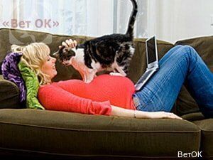 +74953500753 звонок из ВетОК